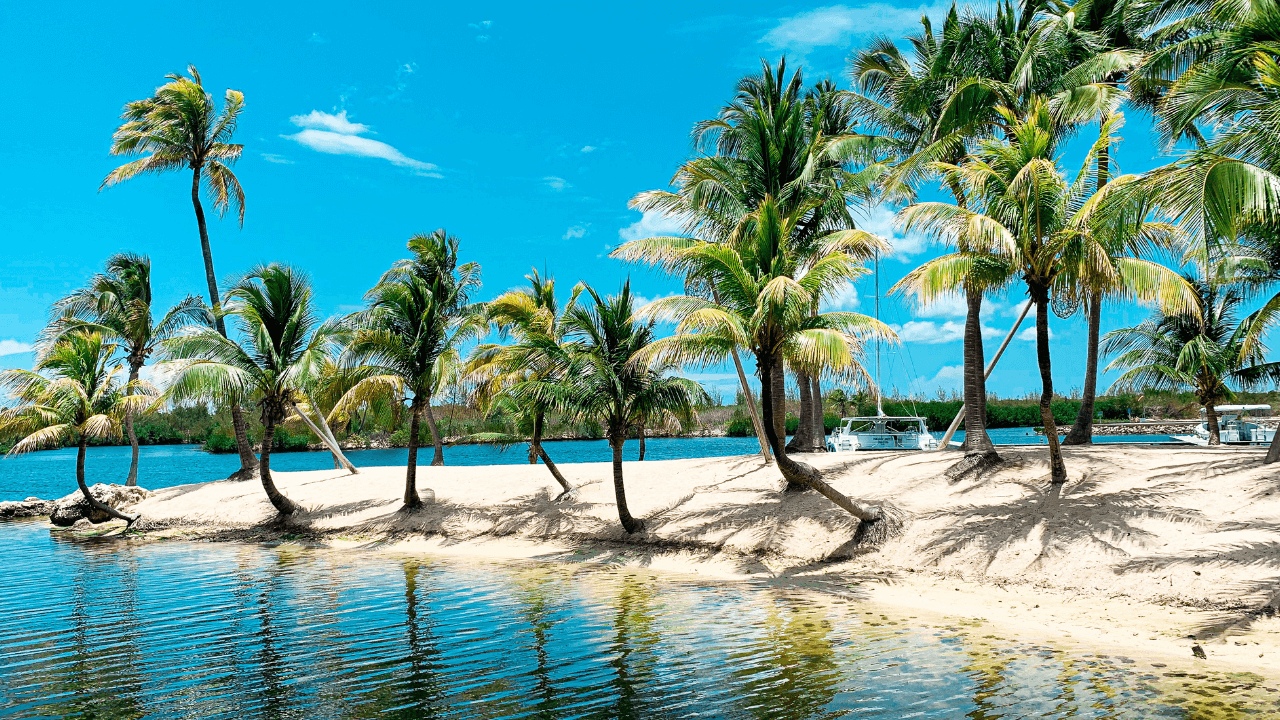11 Low-Tax Countries for US Citizens The Cayman Islands