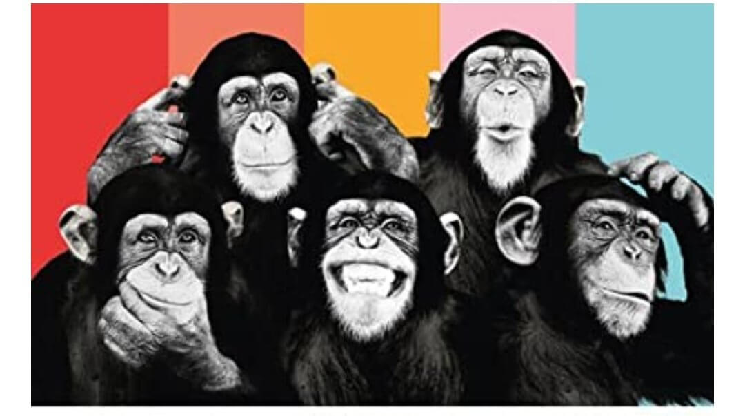 The Five Chimps Theory: How Your Friends Shape Your Future five chimps theory